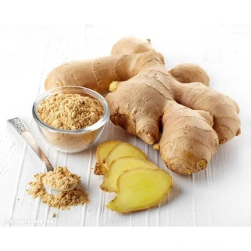 Qualified Fresh Ginger for EU 150g up in PVC Box